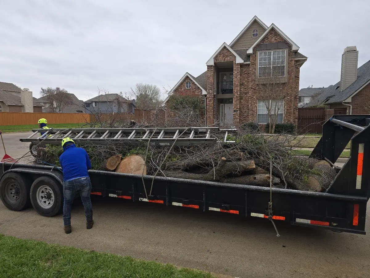 Expert Tree Fertilization with proper safety equipment in Bradenville